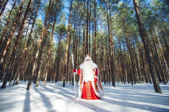 Дед Мороз отметит день рождения в компании сказочных друзей и петербургской группы «Марсель»